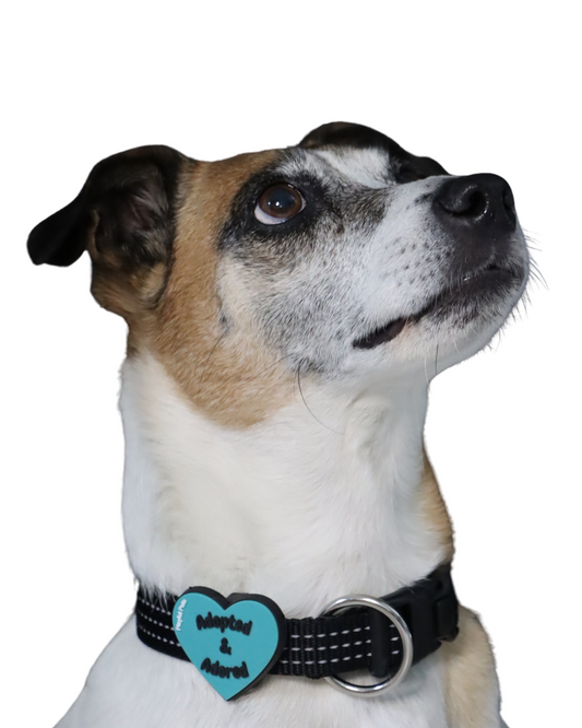 Adopted & Adored Blue Heart