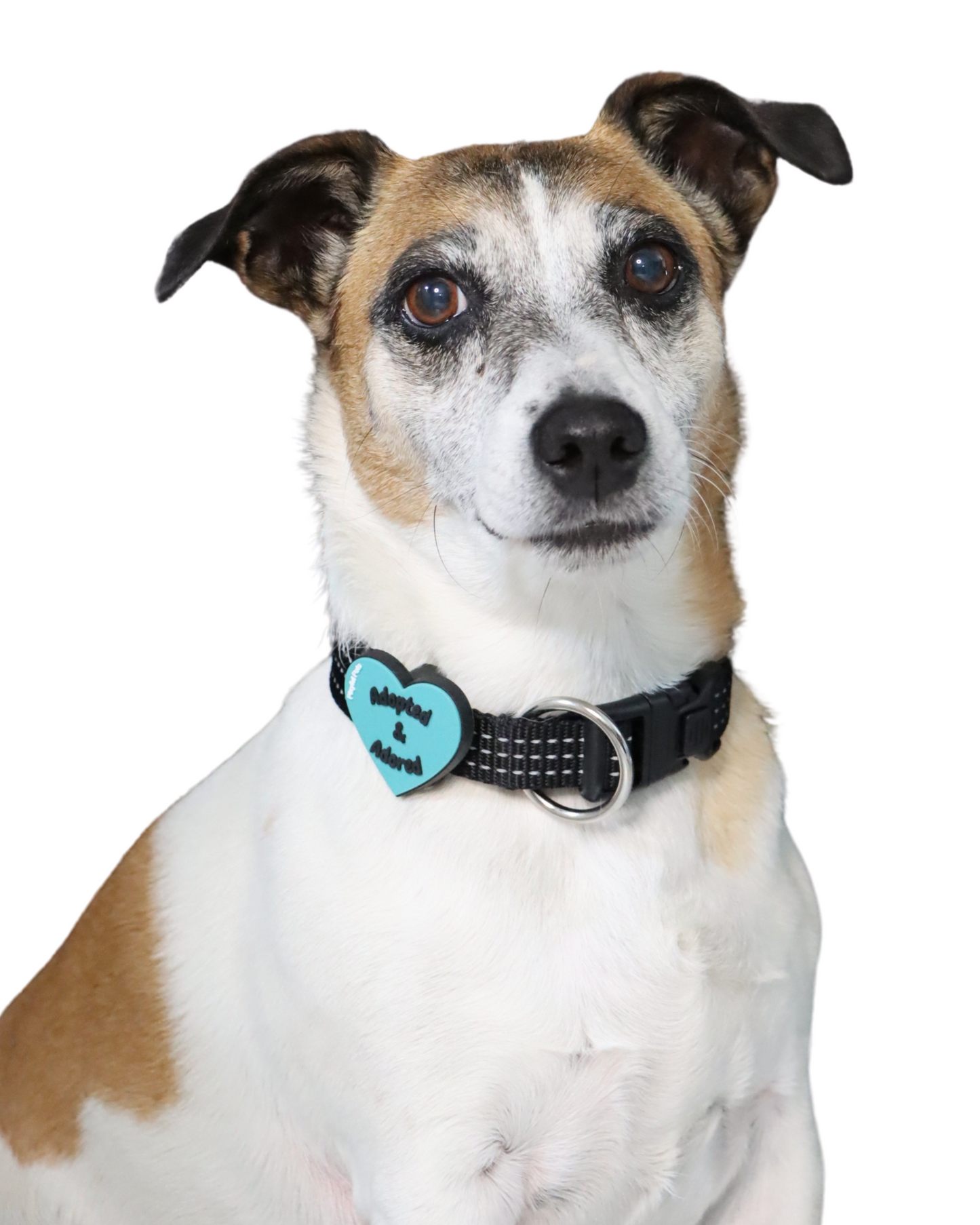 Adopted and Adored Blue Heart