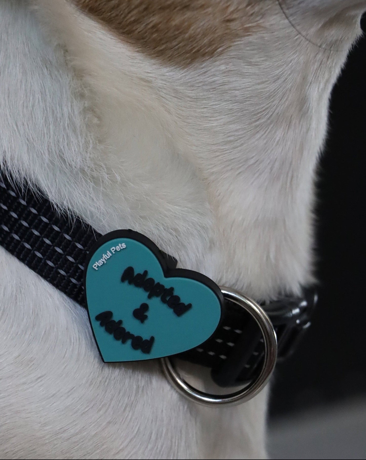 Adopted and Adored Blue Heart